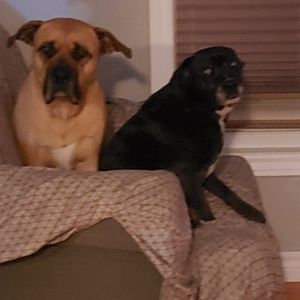 Meet your Posher, Danielle